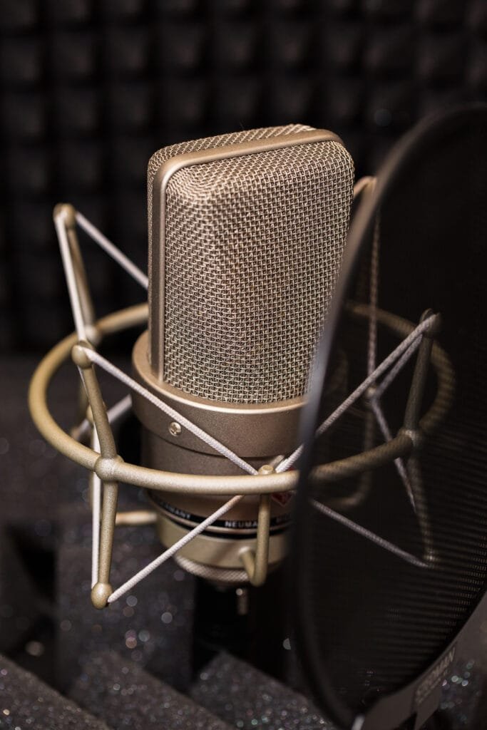 Neumann TLM 103 condenser microphone mounted on a stand in a professional home recording studio setup.