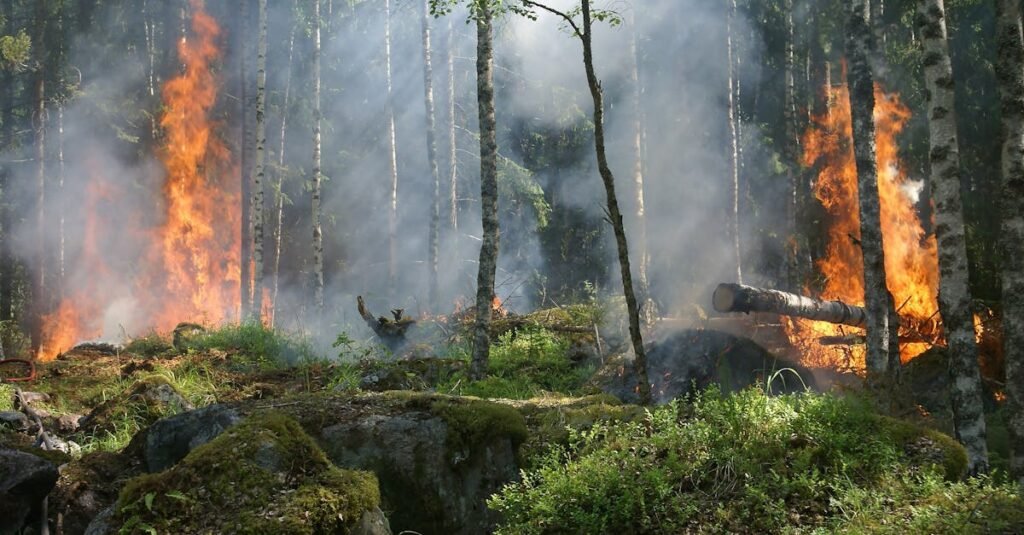 A dramatic forest fire engulfing trees, creating intense smoke and flames against a natural woodland backdrop.