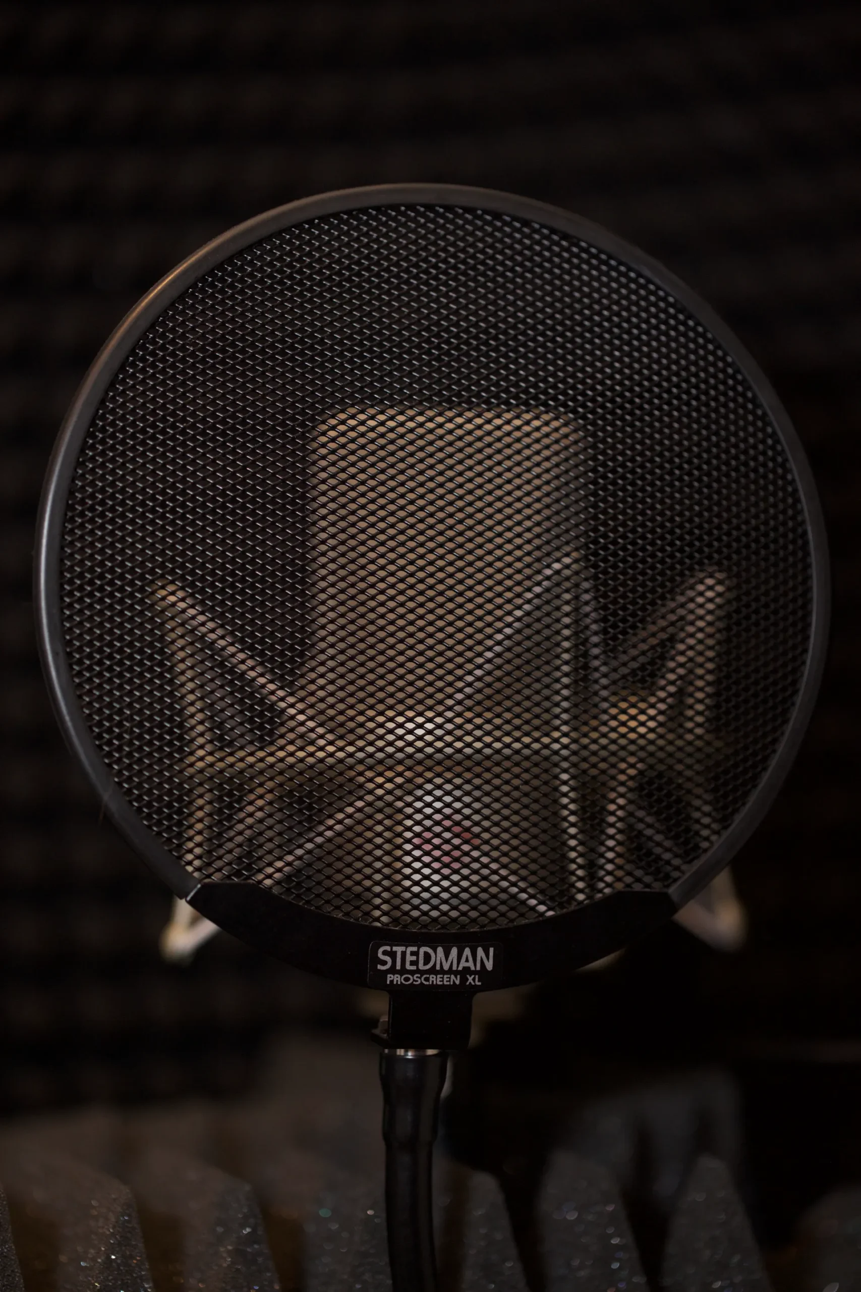 Professional voiceover studio setup featuring a TLM microphone with pop filter recording broadcast quality audio in a home studio