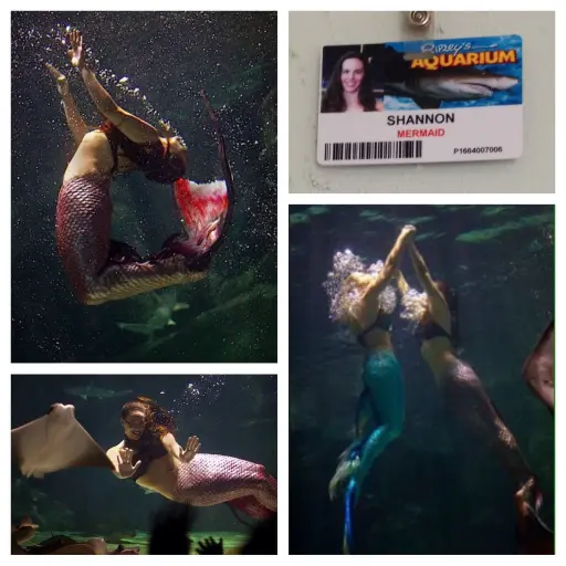 Acting 6 Mermaid Shannon at Ripley's Aquarium