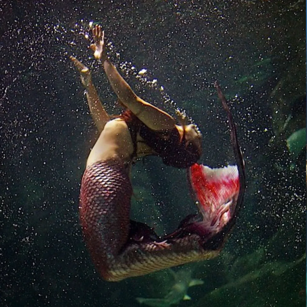 Underwater Photoshoot Safety: How to Prepare for a Successful Shoot 1 Professional mermaid Shannon Scott spinning underwater during a live aquarium performance.