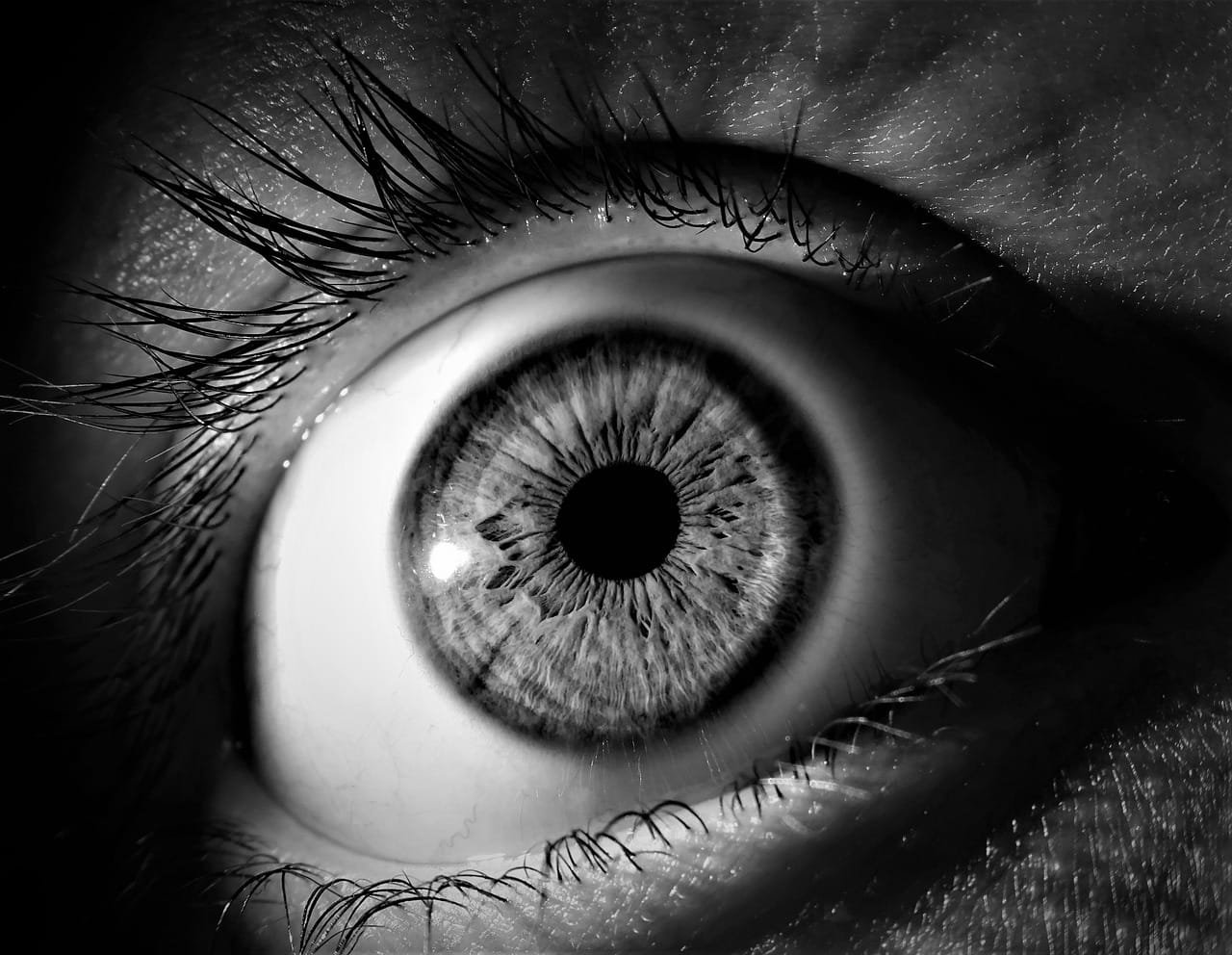 Voiceover 51 Close-up photo of a human eye symbolizing awareness, presence, and the power of being seen.