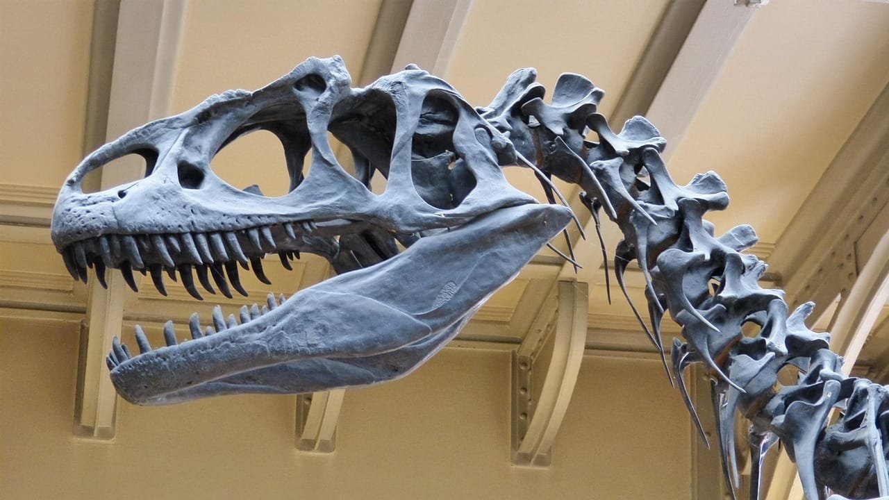 Beyond the Algorithm: Why Replacing Real Performers with AI Will Cost You More Than Money 3 T-Rex skeleton representing the concept of real vs artificial performance
