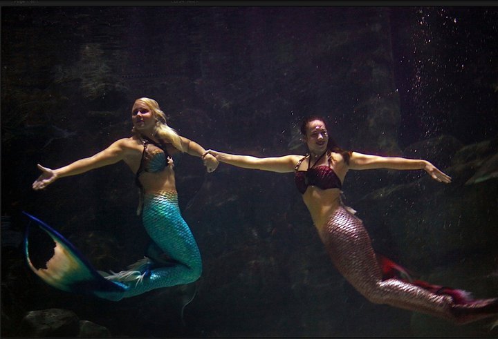 Professional Underwater Model For Hire: What It Really Takes to Work Beneath the Surface 3 Shannon Scott 248561 207424495961015 184952671541531 495206 7475818 n1